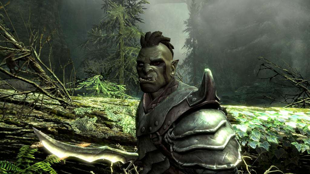 The Elder Scrolls V: Skyrim EU PC Steam CD Key
