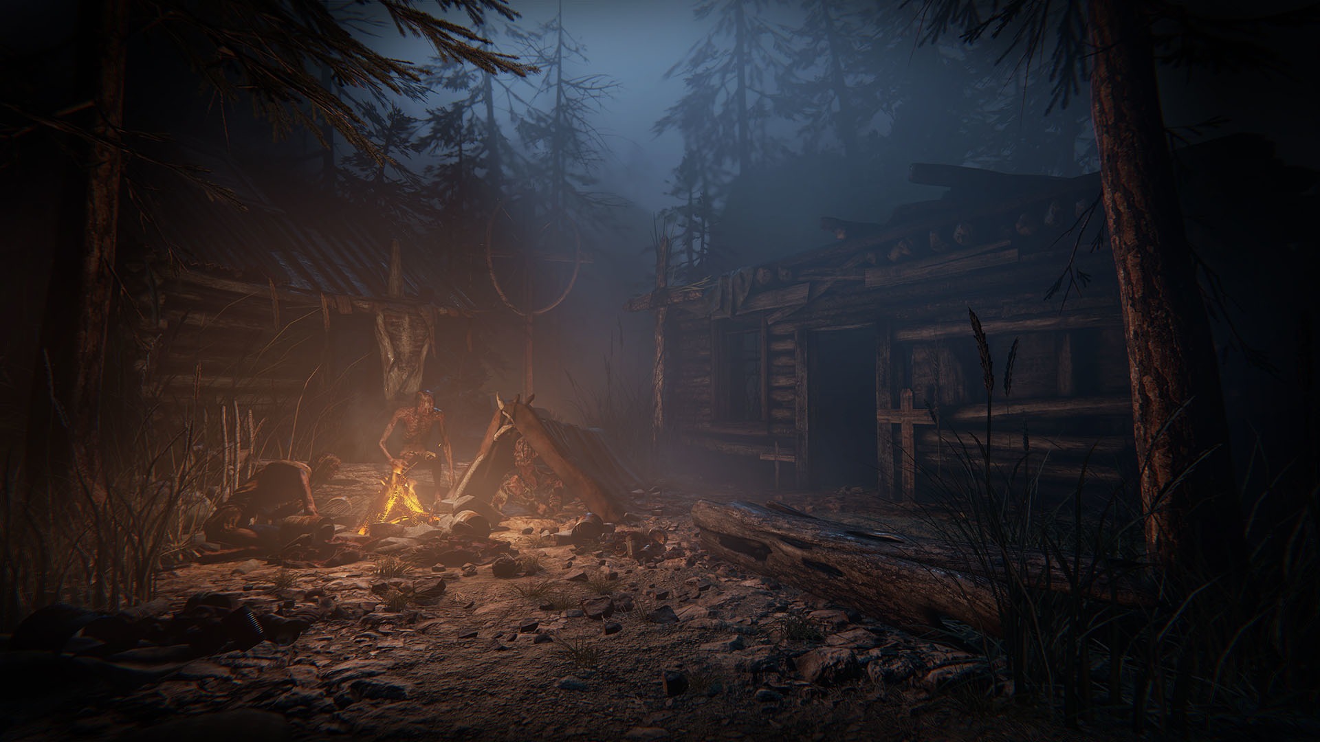 Outlast 2 EU PC Steam Klucz cyfrowy
