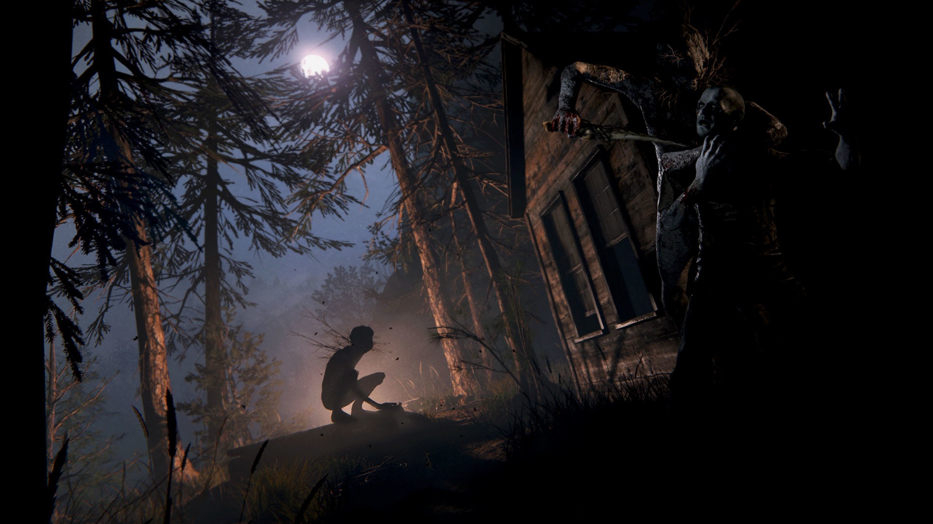 Outlast 2 EU PC Steam Klucz cyfrowy