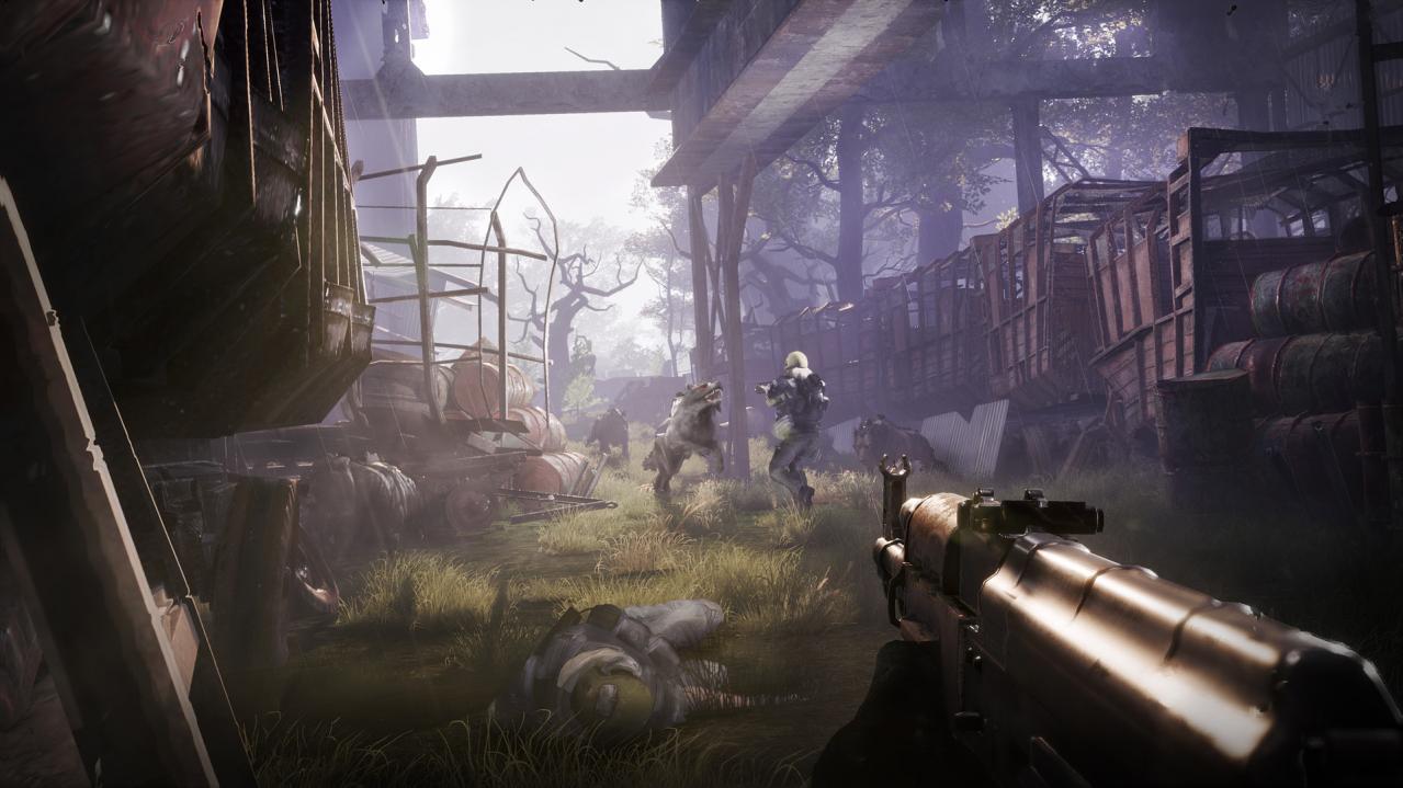 Fear The Wolves Steam CD Key