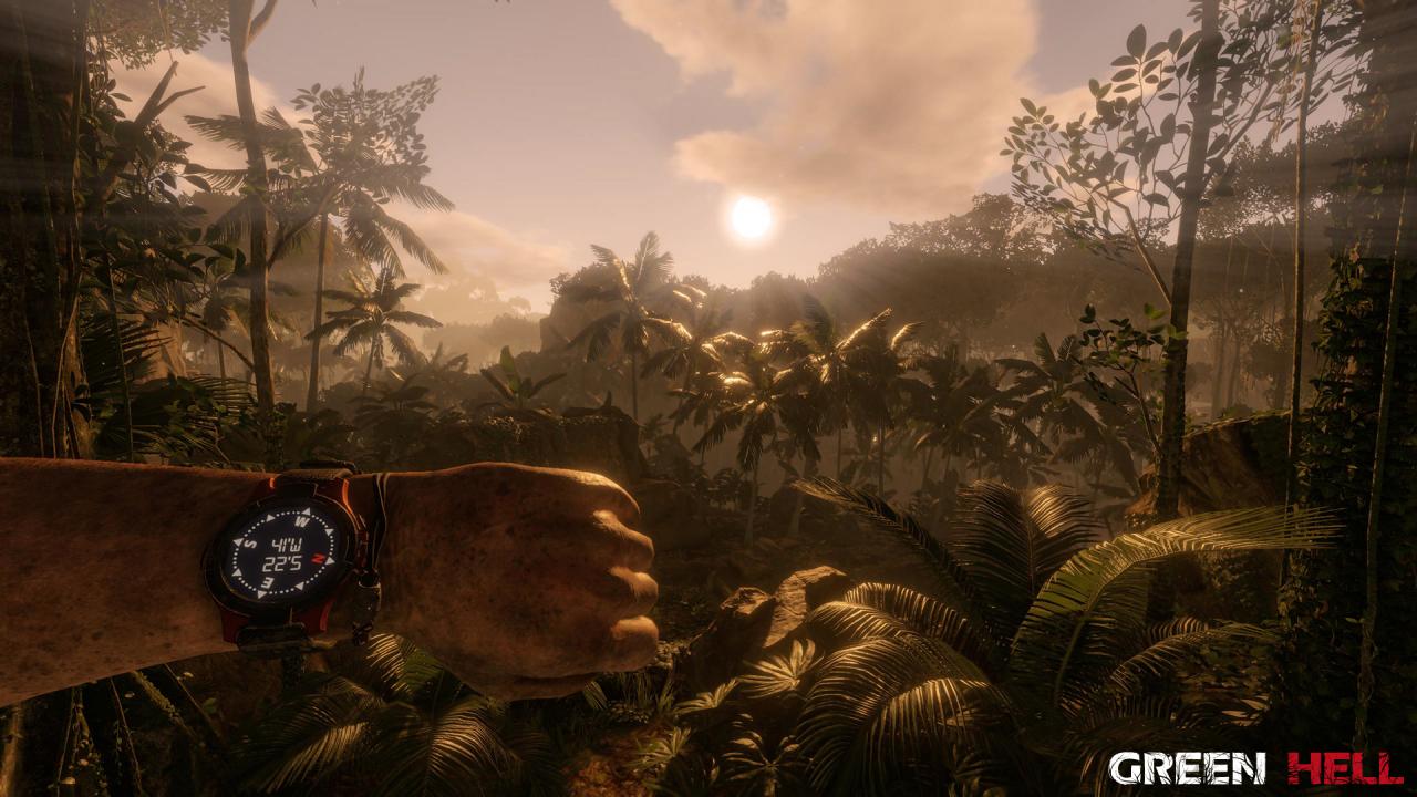 Green Hell EU Steam CD Key