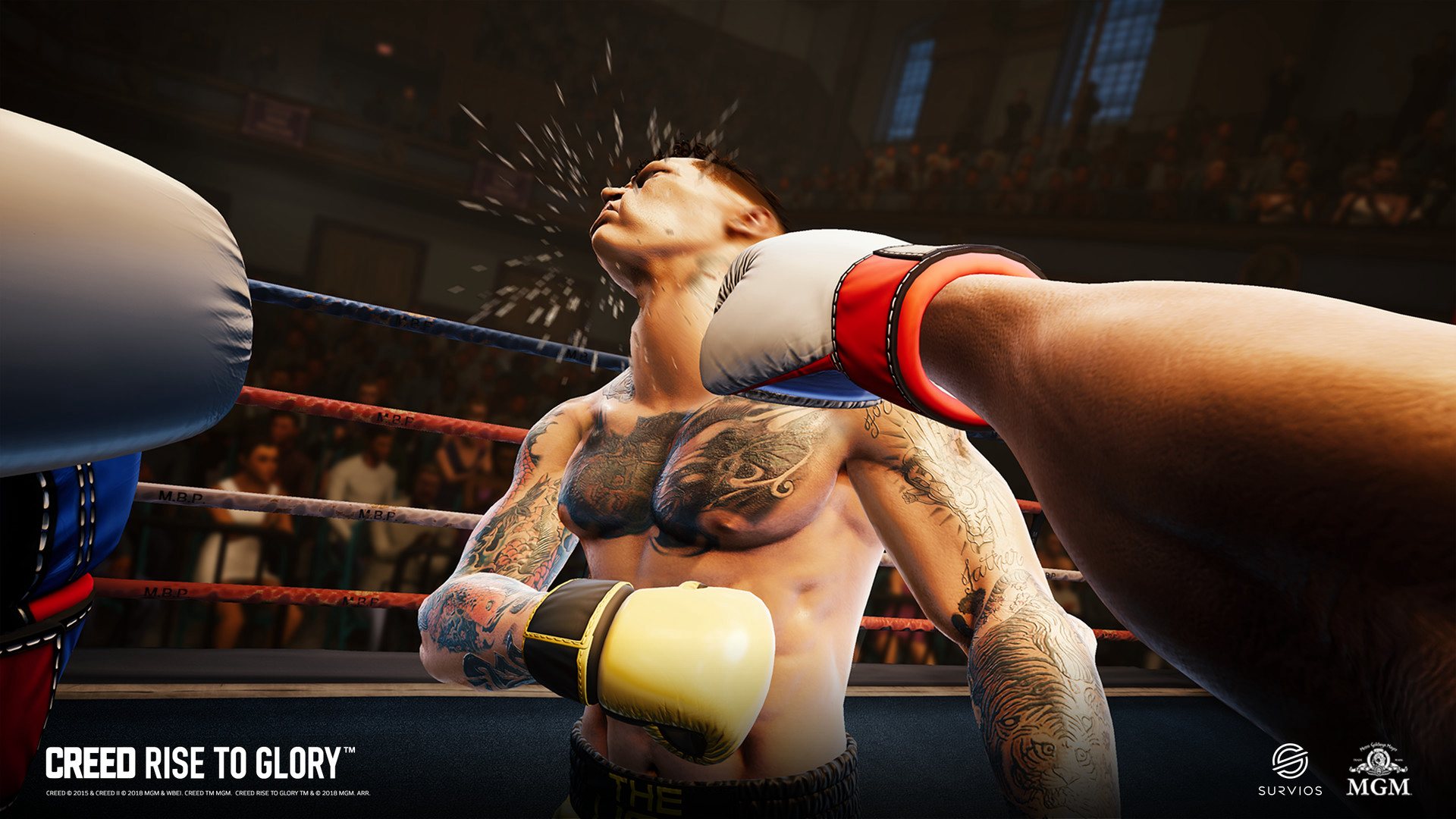 Creed: Rise to Glory PC Steam CD Key
