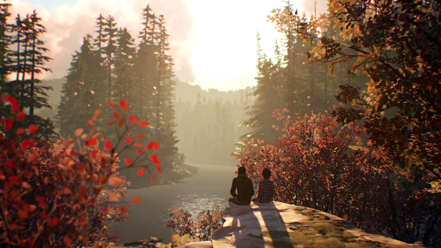 Life is Strange 2 - Episode 1 Steam CD Key