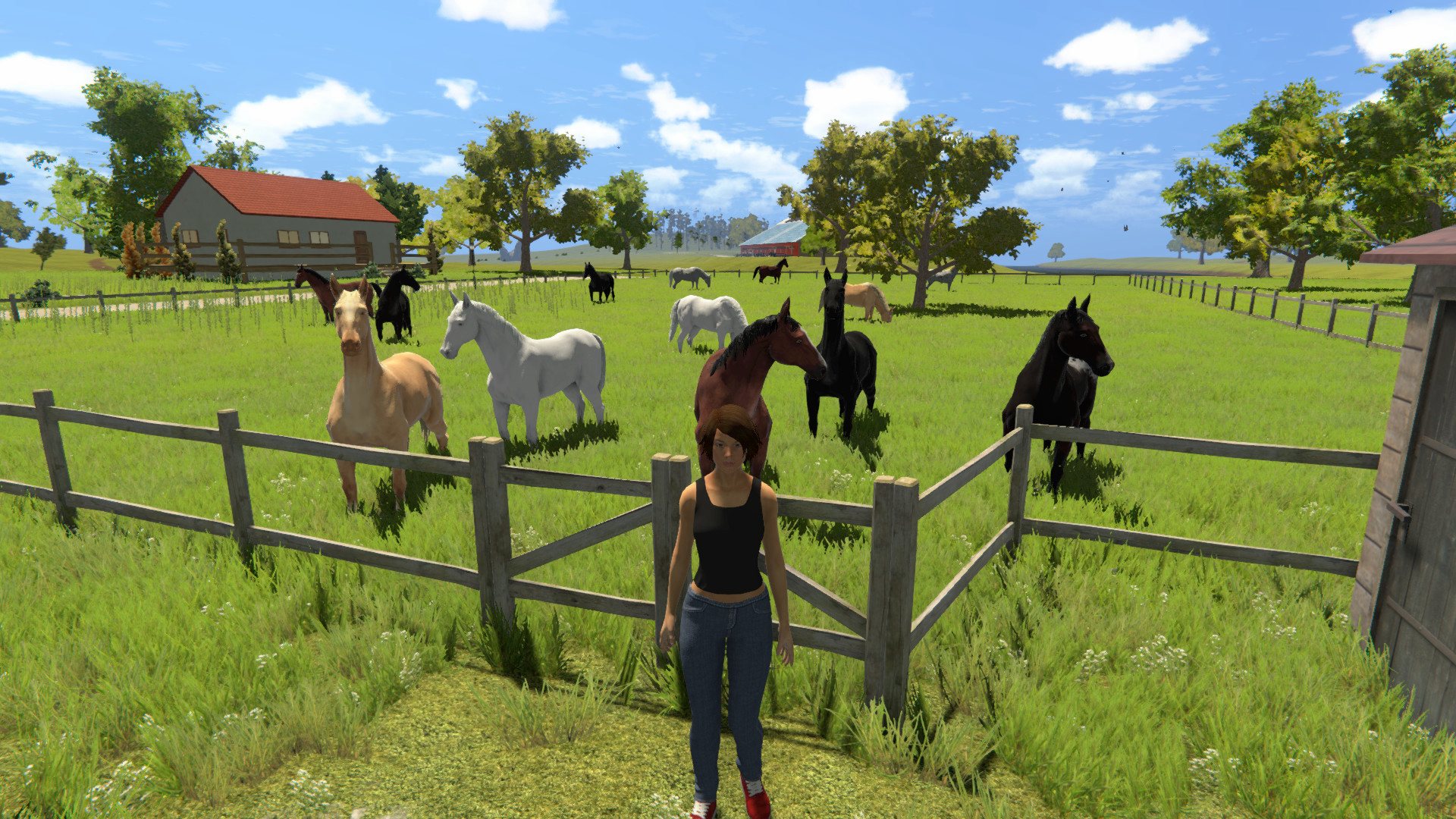 My Little Riding Champion EU XBOX One CD Key