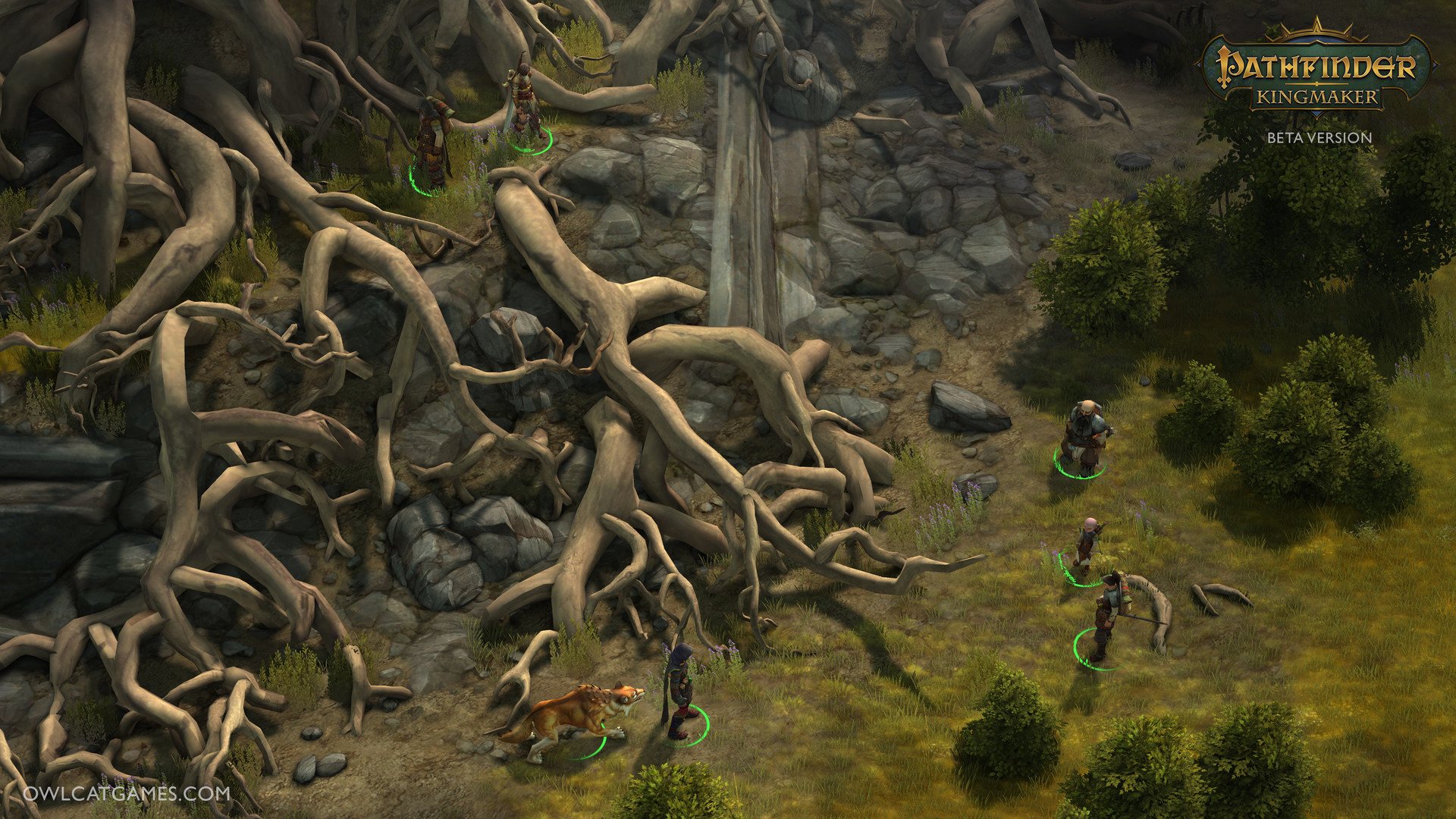 Pathfinder: Kingmaker Imperial Edition GOG CD Key