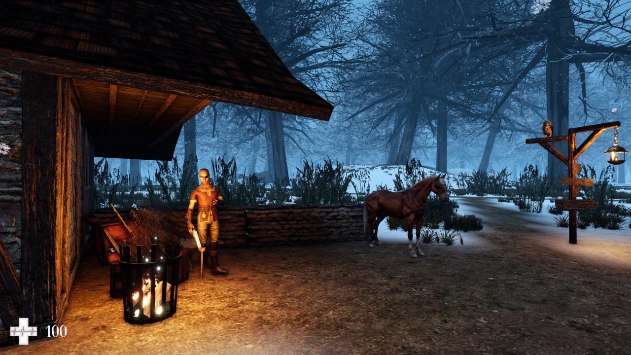 Witch The Bloodlines Steam CD Key