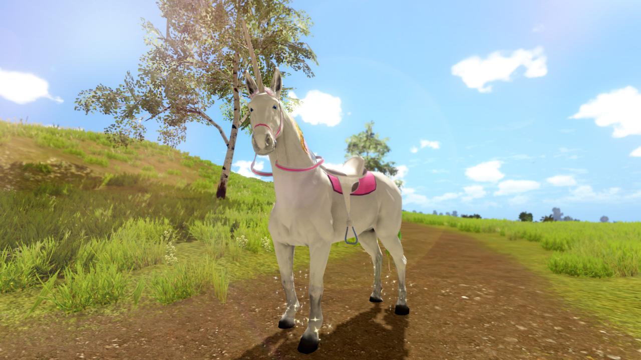 The Unicorn Princess EU Nintendo Switch CD Key