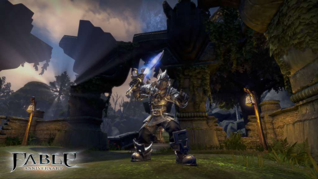 Fable Anniversary EU Steam CD Key
