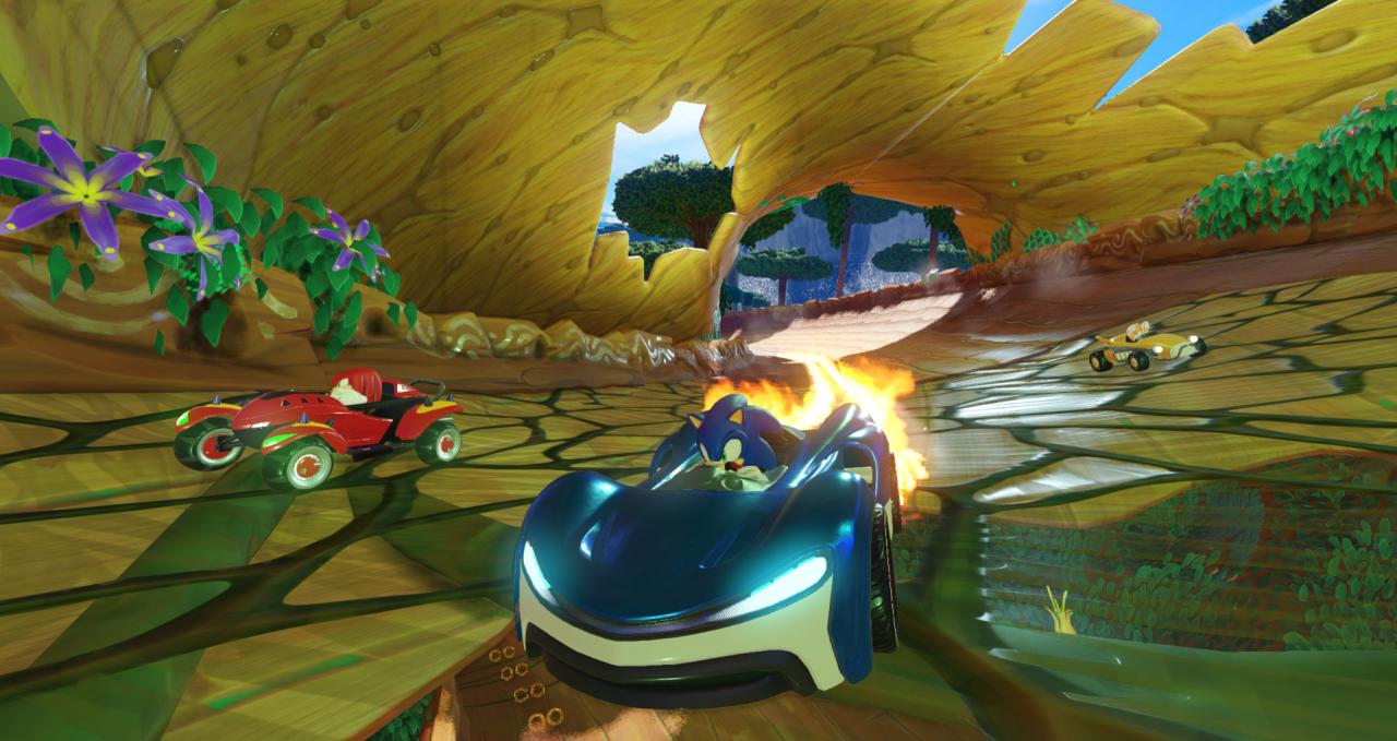 Team Sonic Racing EU Steam CD Key
