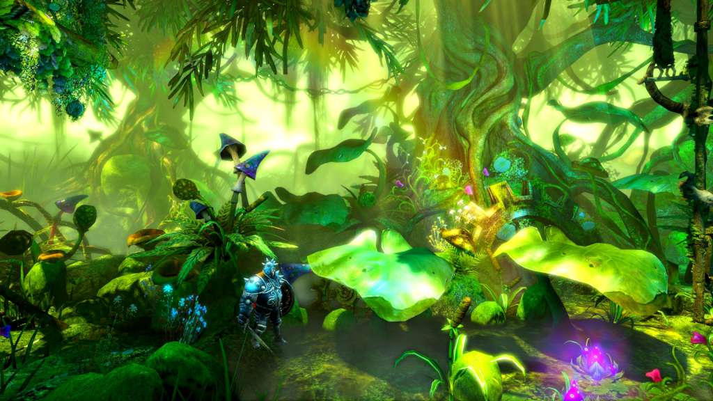 Trine 2: Complete Story EU Steam CD Key