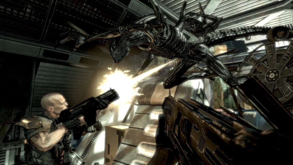 Aliens vs. Predator Collection PC Steam CD Key