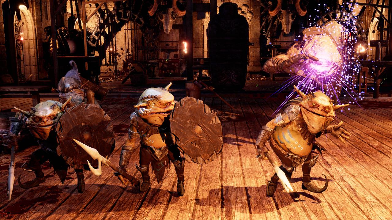 The Bard's Tale IV: Director's Cut - Standard Edition Steam CD Key