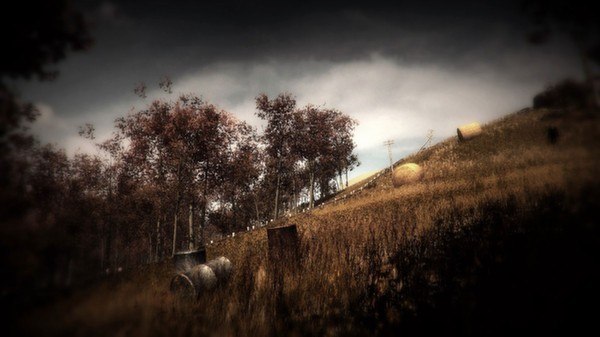 Slender: The Arrival (2013) Steam CD Key