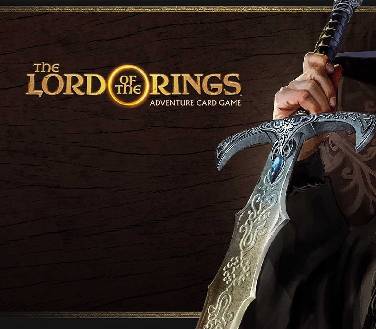 The Lord of the Rings Adventure Card Game Definitive Edition EU Steam 