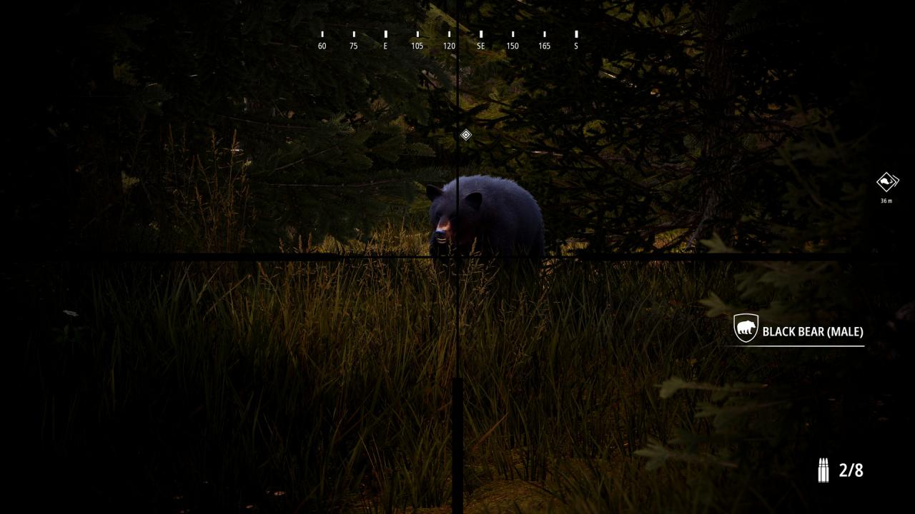 Hunting Simulator 2 Bear Hunter Edition Steam CD Key