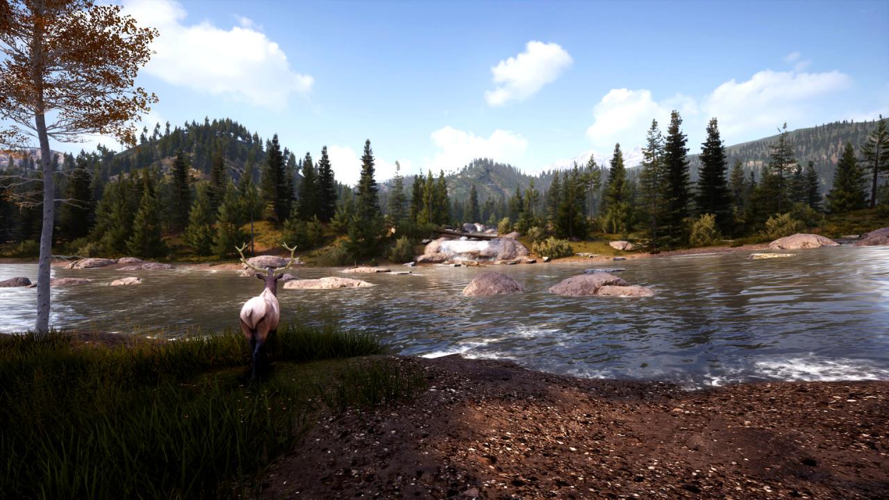 Hunting Simulator 2 Bear Hunter Edition Steam CD Key