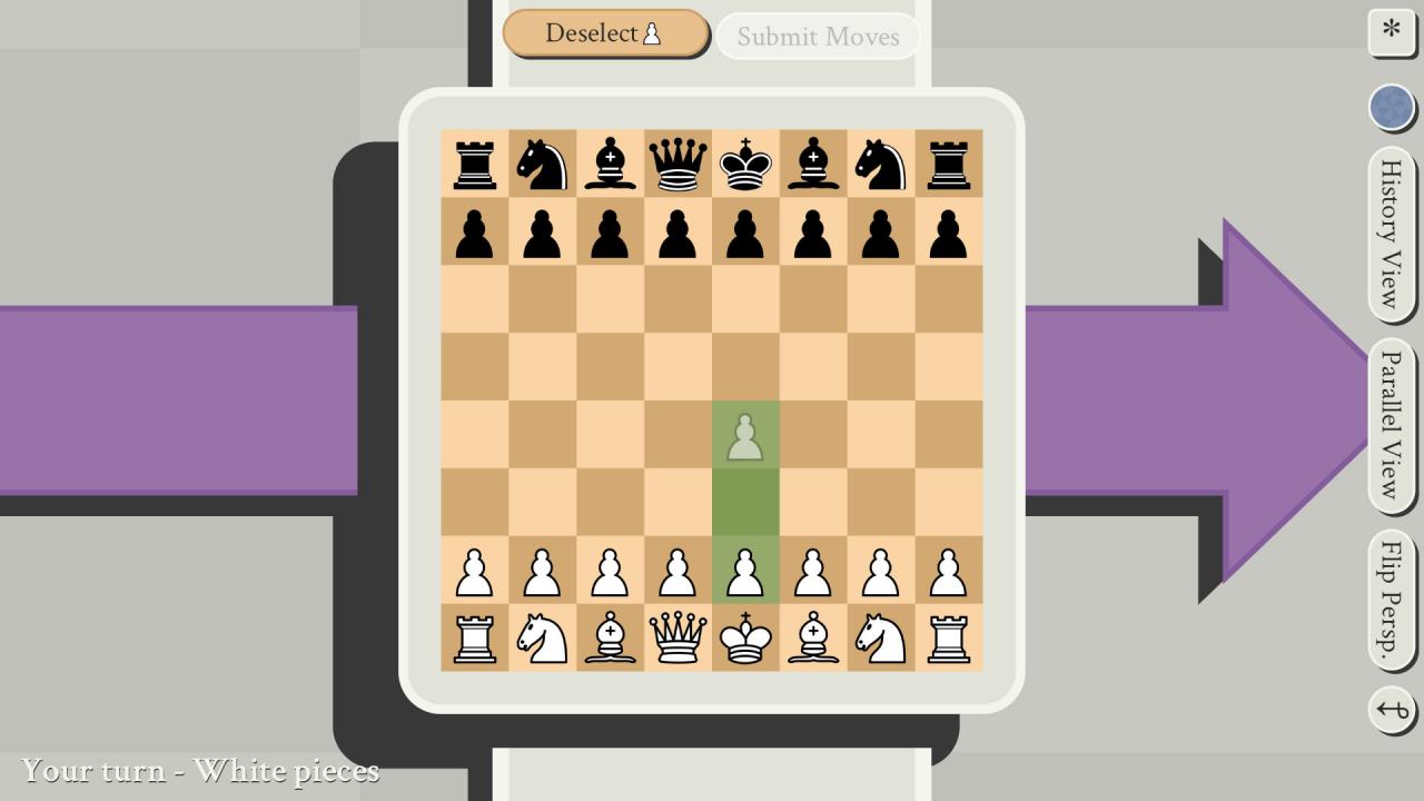 5D Chess With Multiverse Time Travel Steam CD Key