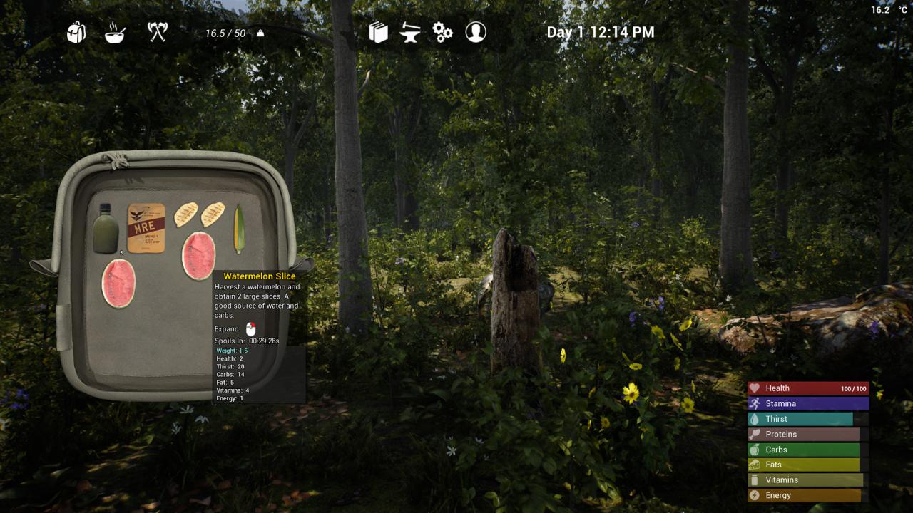The Infected Steam CD Key