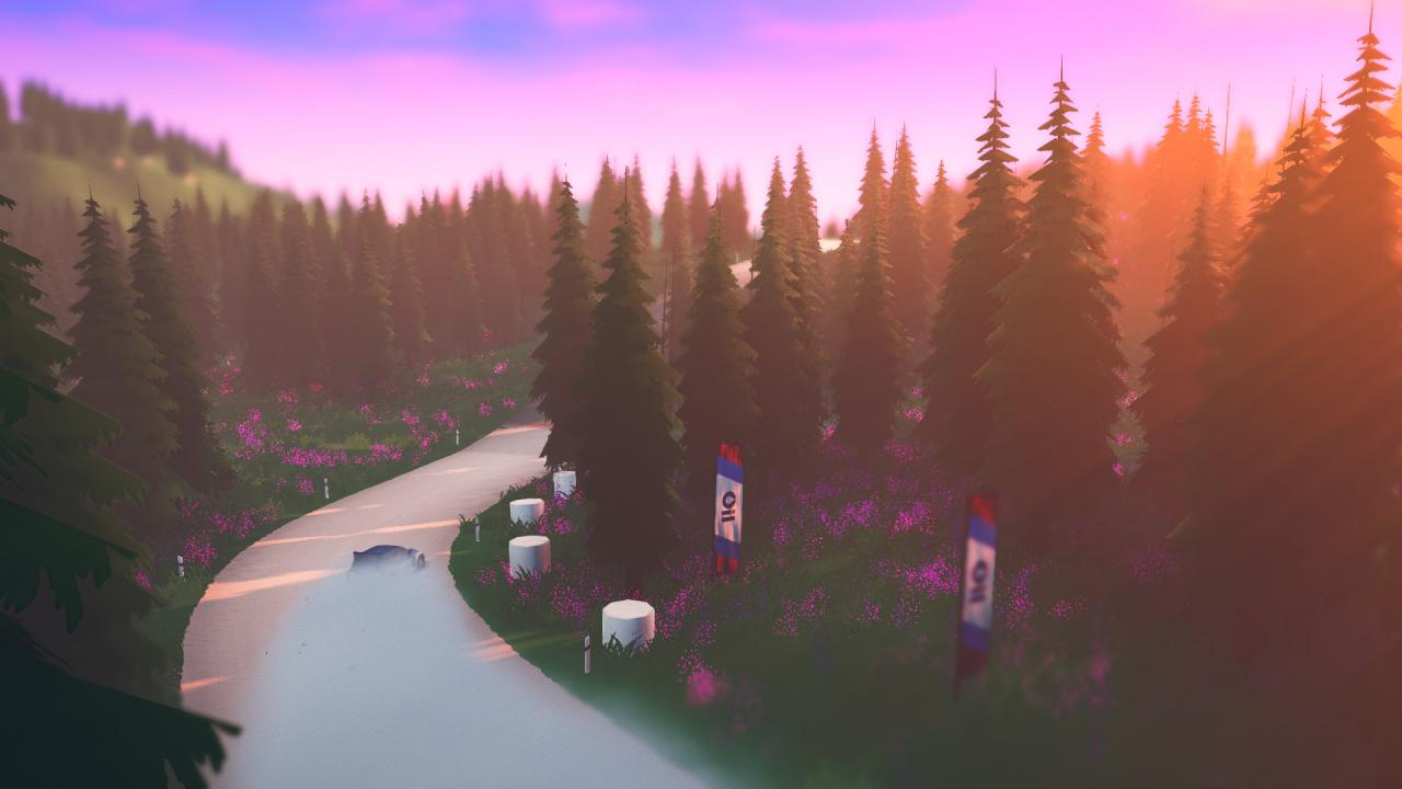 Art of Rally Steam CD Key