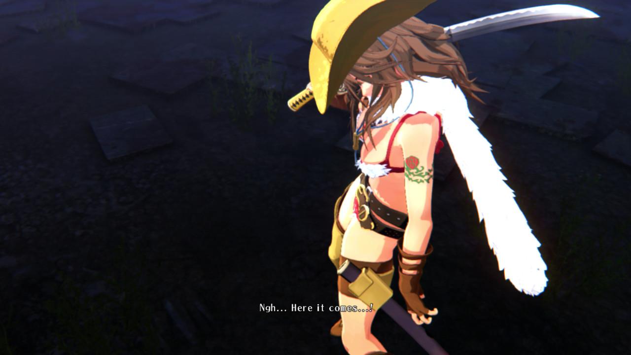 Onee Chanbara ORIGIN Steam CD Key