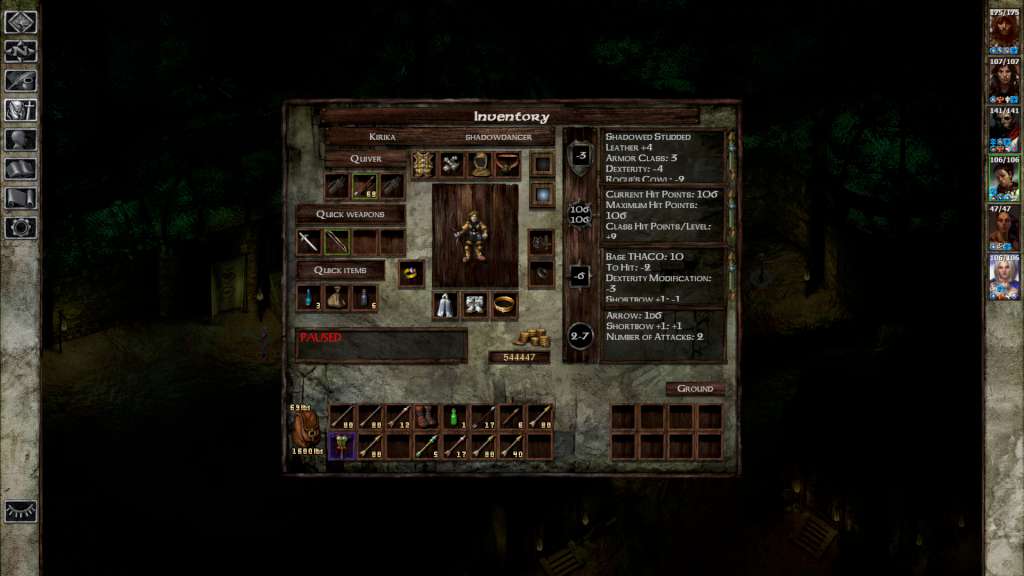 Icewind Dale: Enhanced Edition Steam CD Key