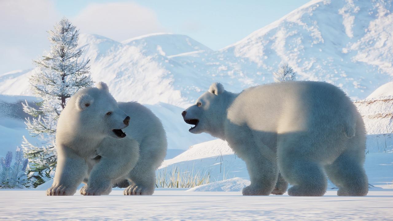 Planet Zoo: Arctic Bundle PC Steam CD Key