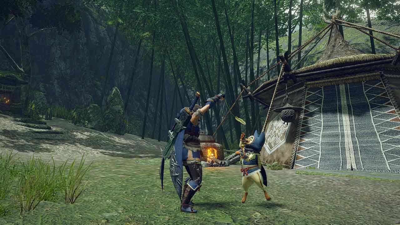 Monster Hunter Generations Ultimate Nintendo Switch Access