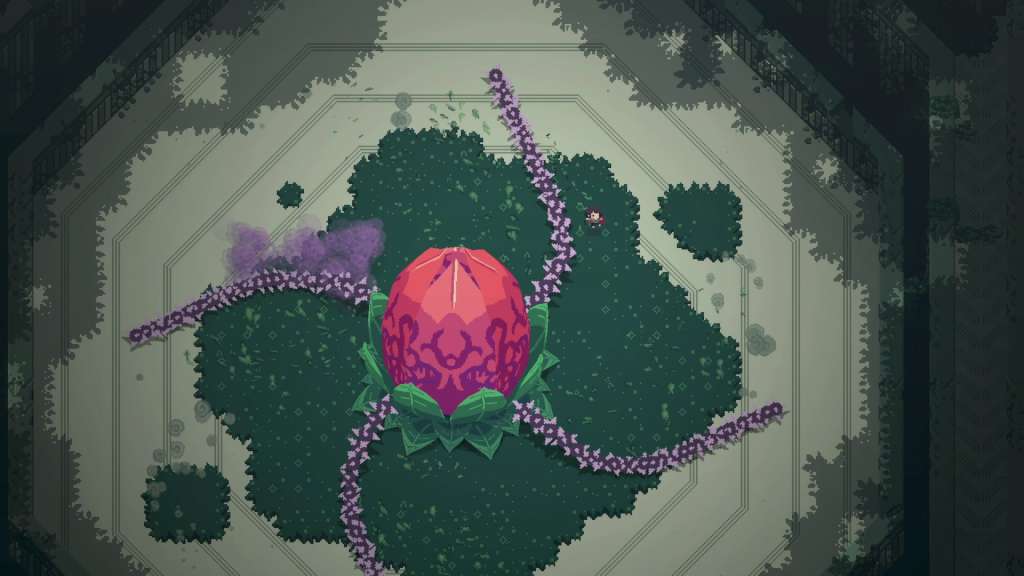 Titan Souls Collector's Edition Steam CD Key