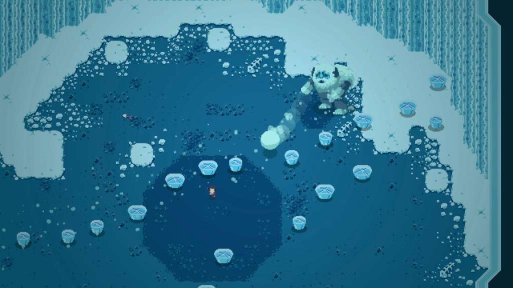 Titan Souls Collector's Edition Steam CD Key