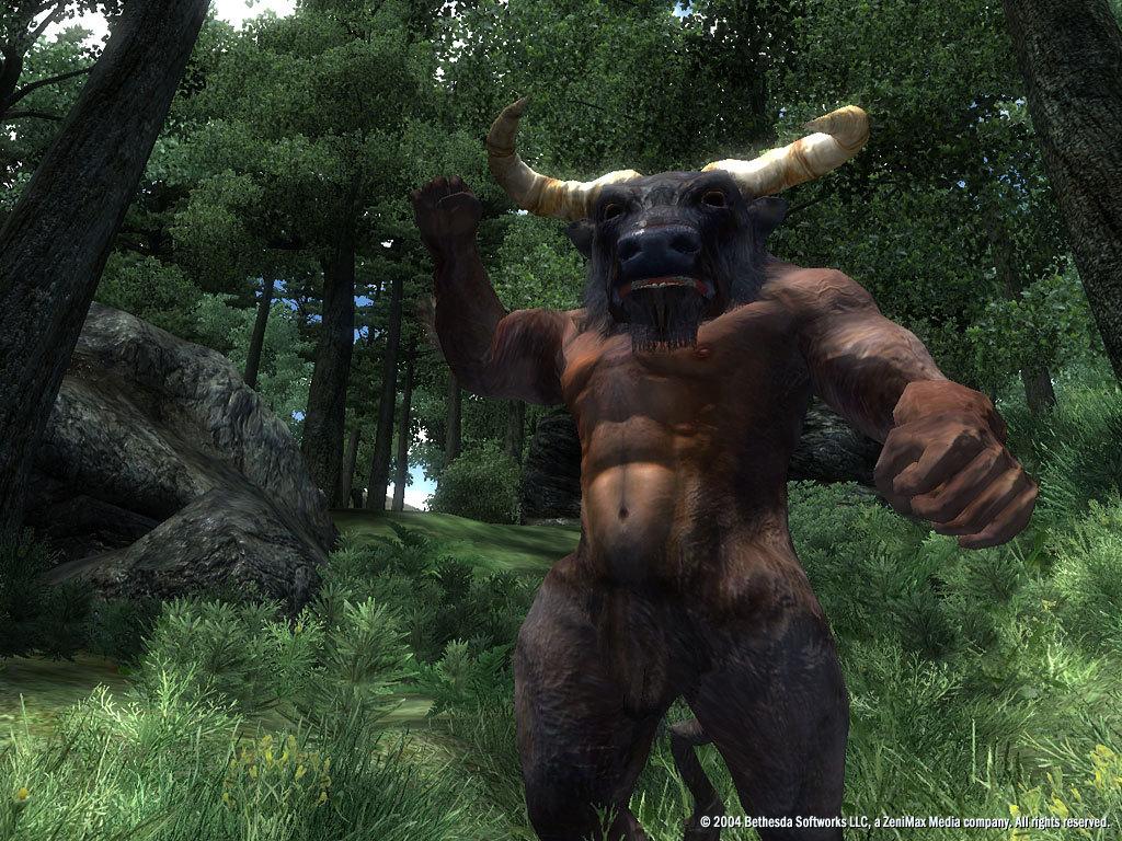 The Elder Scrolls IV: Oblivion GOTY Edition Deluxe Steam CD Key