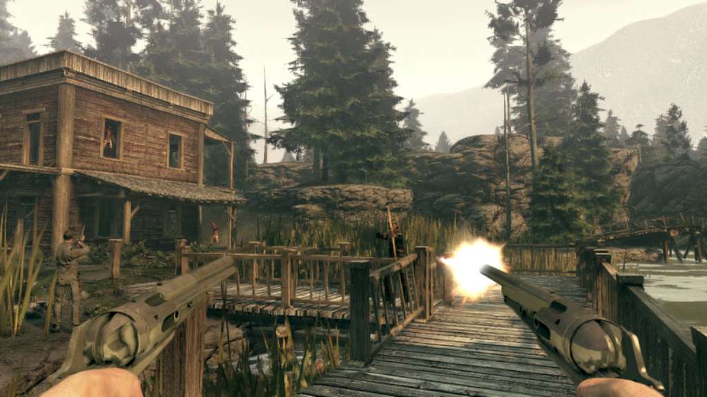 Call of Juarez: Bound in Blood PC Steam CD Key