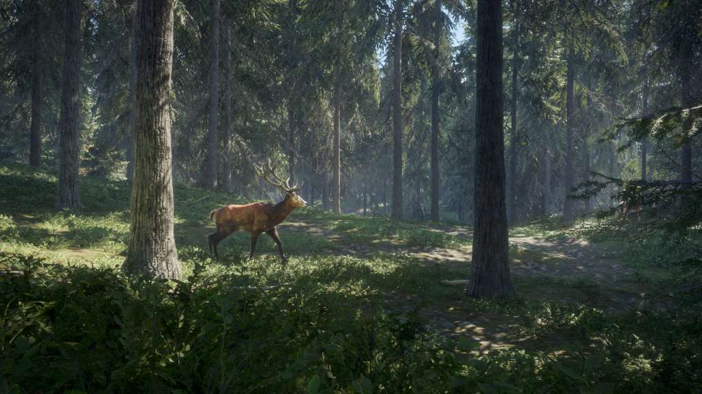 theHunter: Call of the Wild (EU) Steam