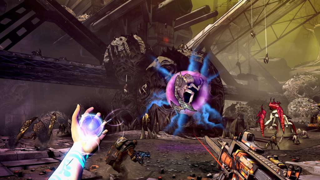 Borderlands 2 Game Of The Year Edition PC Steam CD Key (MAC OS X) 