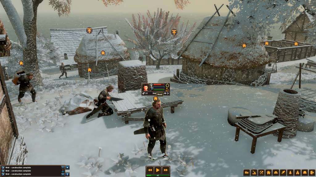 Life is Feudal: Forest Village PC Steam CD Key