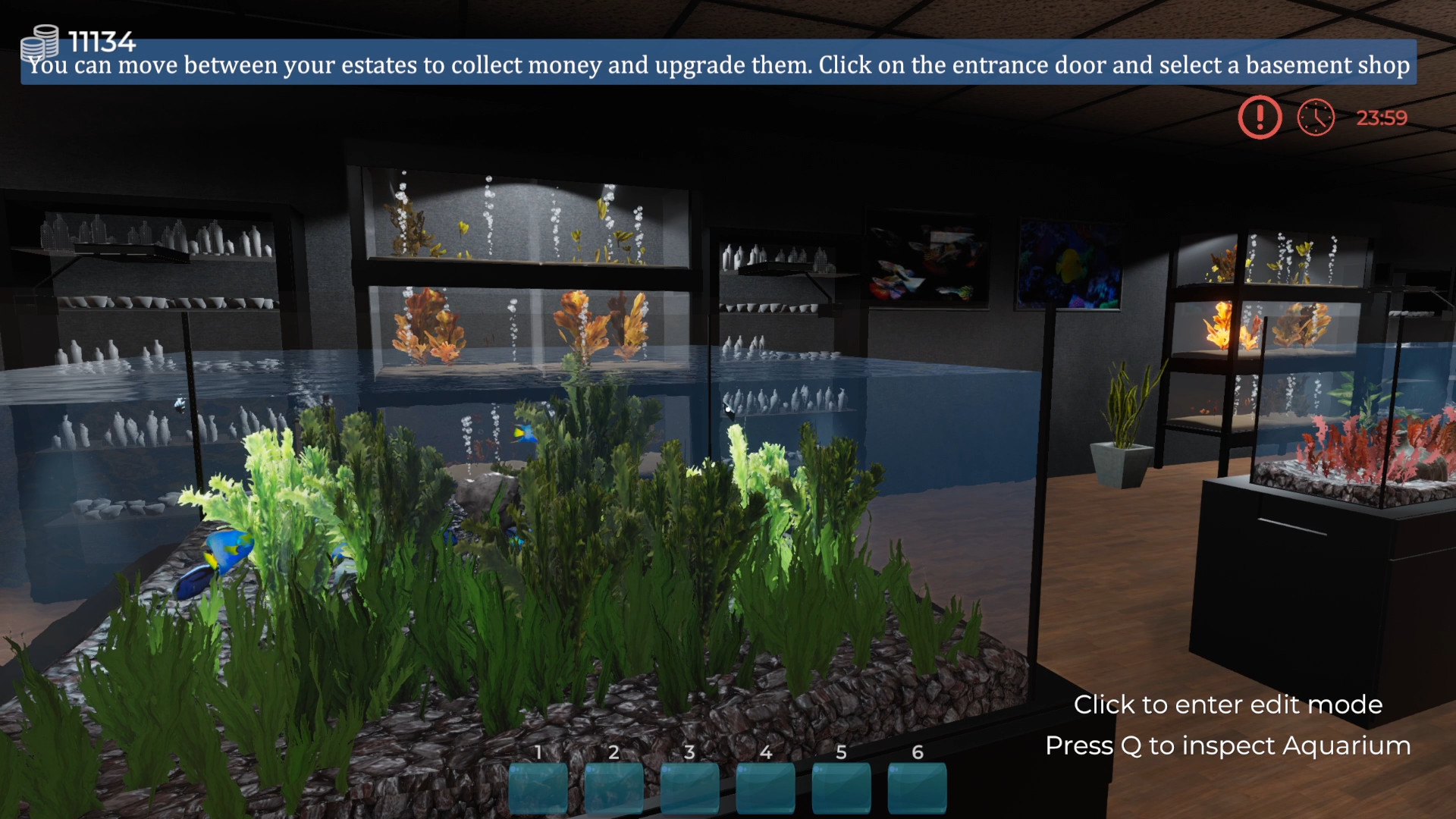 Aquarist PC Steam CD Key