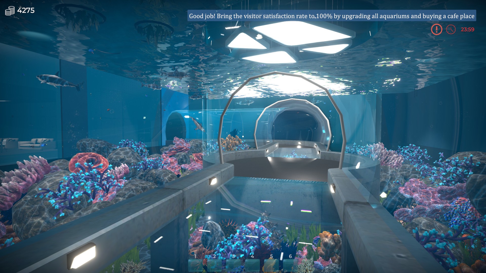 Aquarist PC Steam CD Key