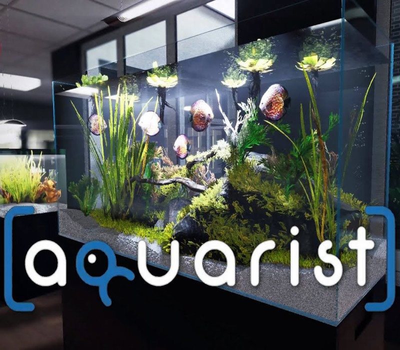 Aquarist PC Steam CD Key