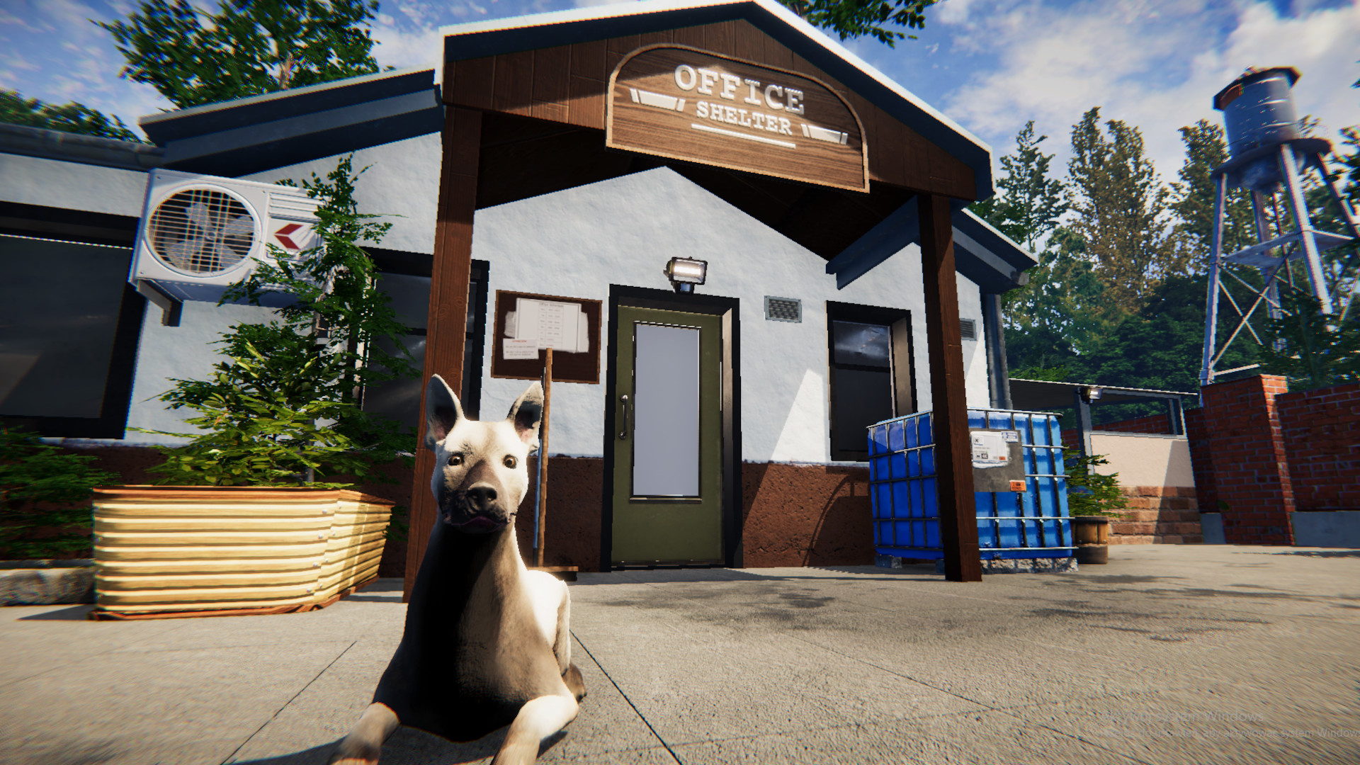 Animal Shelter PC Steam CD Key