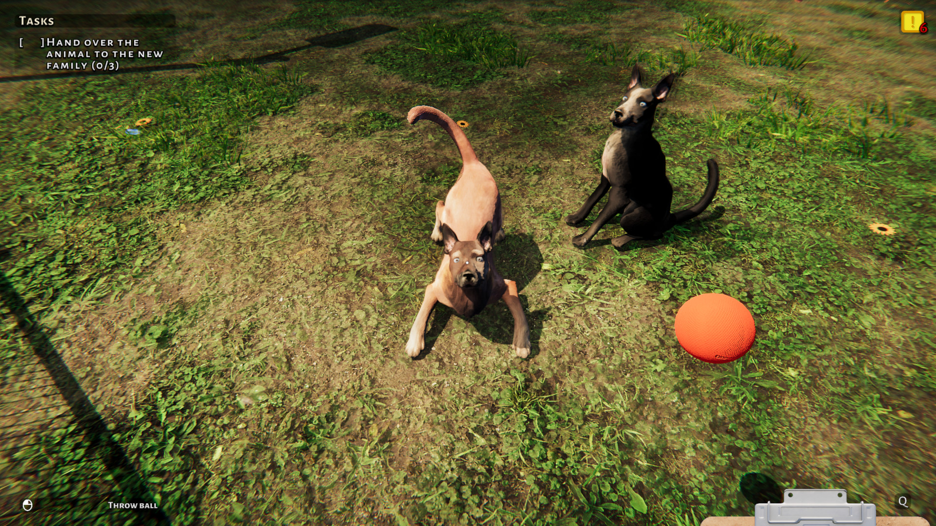 Animal Shelter PC Steam CD Key