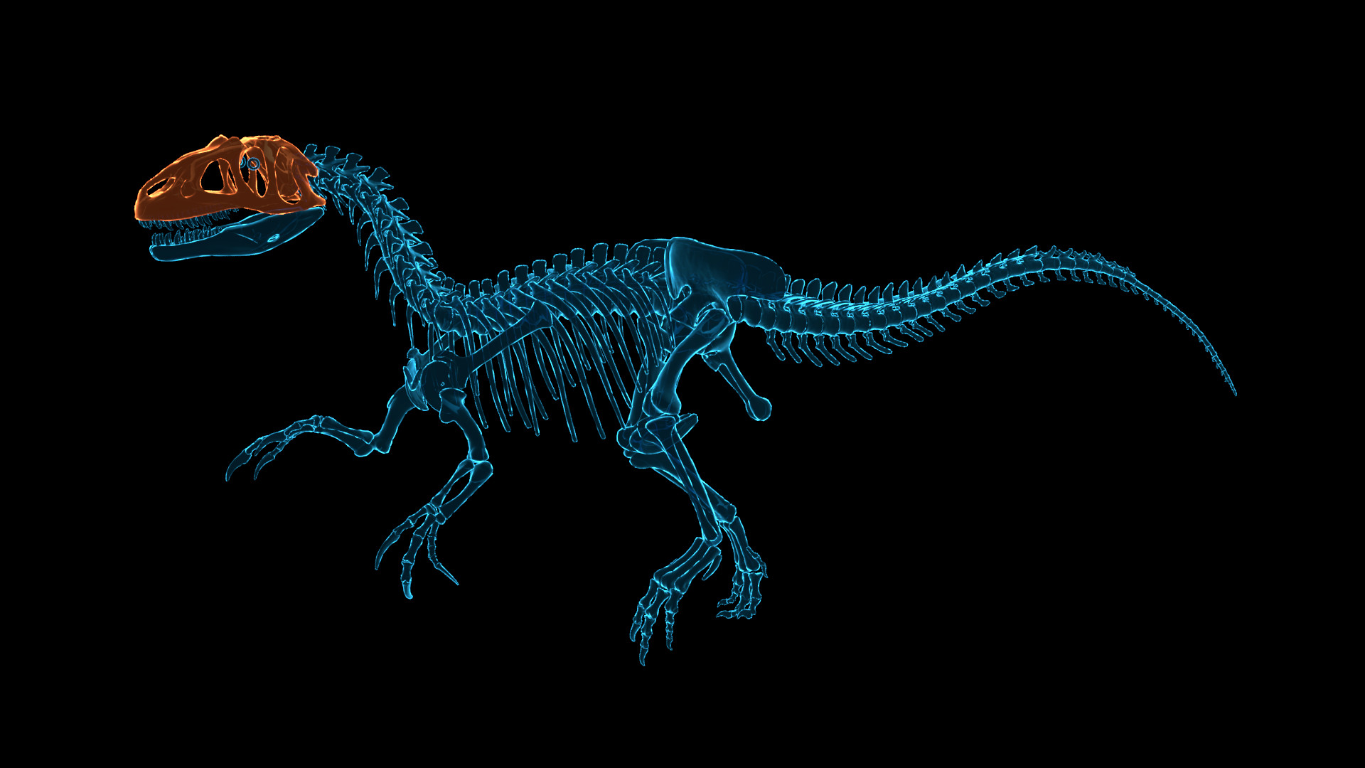 Dinosaur Fossil Hunter PC Steam CD Key
