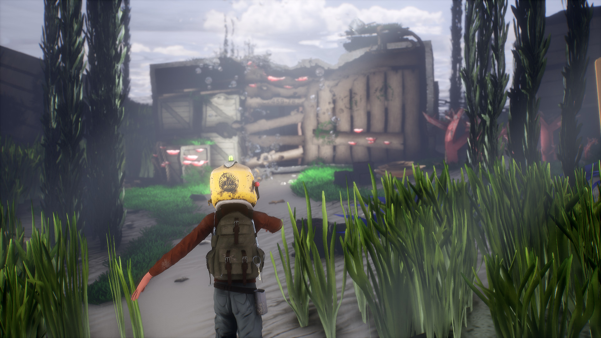 Hazel Sky Steam CD Key
