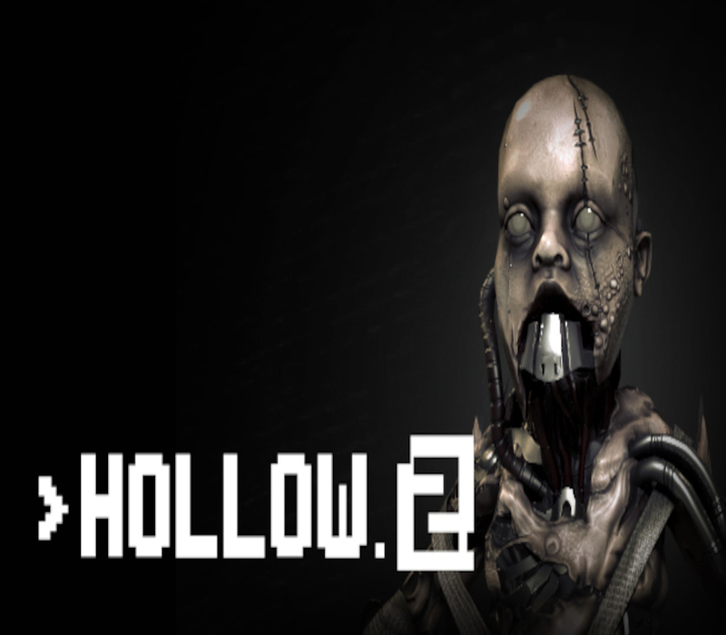 Hollow 2 PC Steam Account