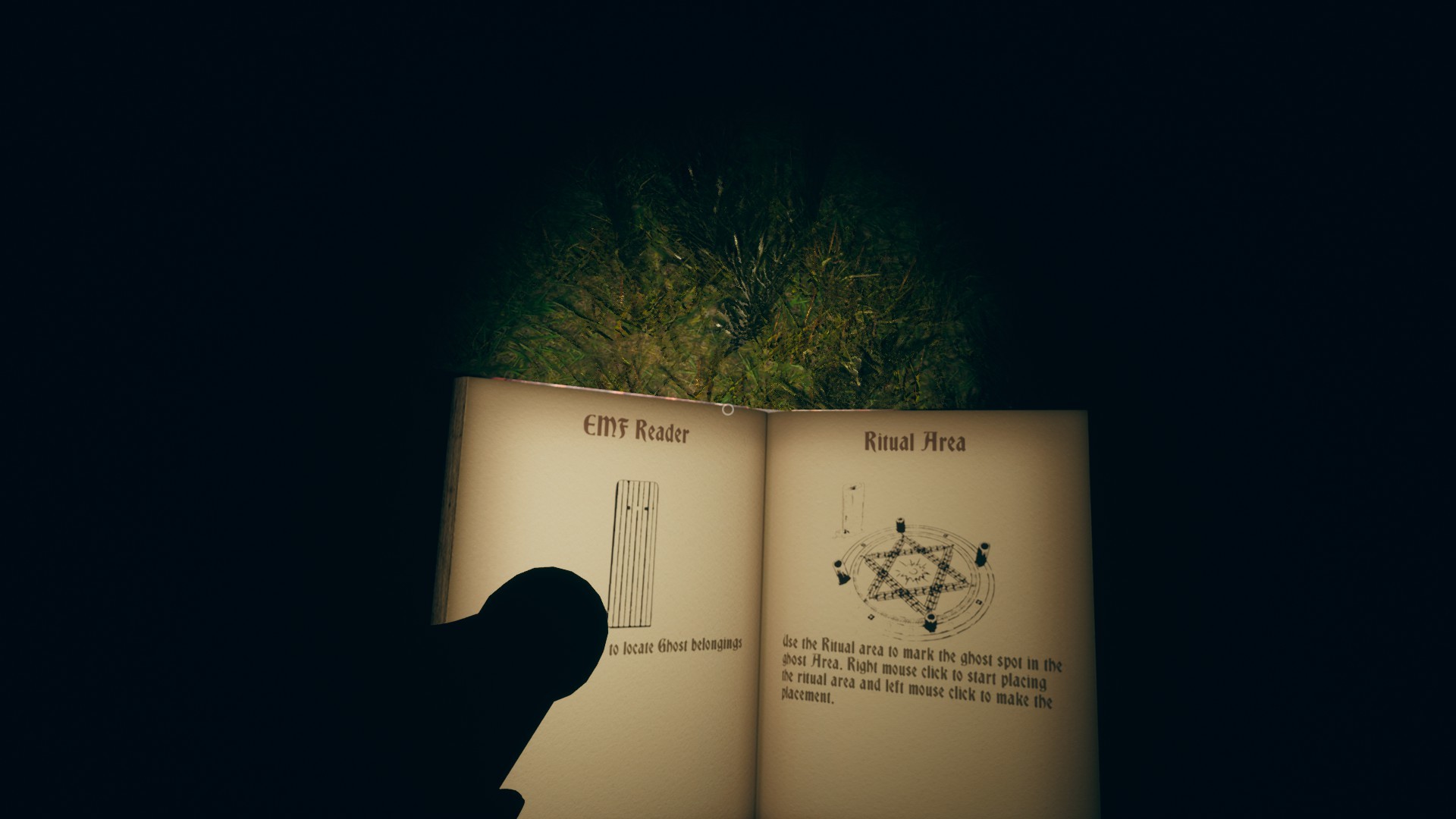 Cursed Exped Steam CD Key