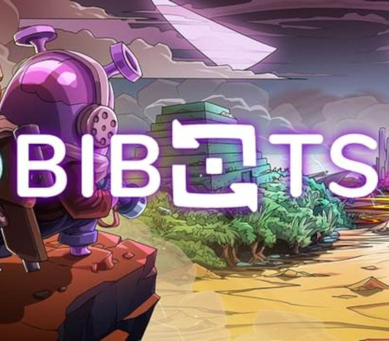 Bibots PC Steam Account