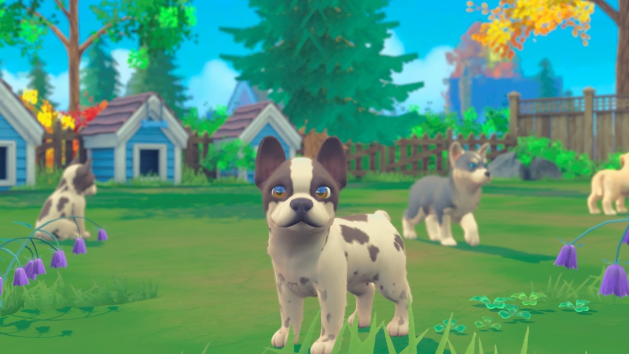 My Universe - Puppies & Kittens PC Steam CD Key