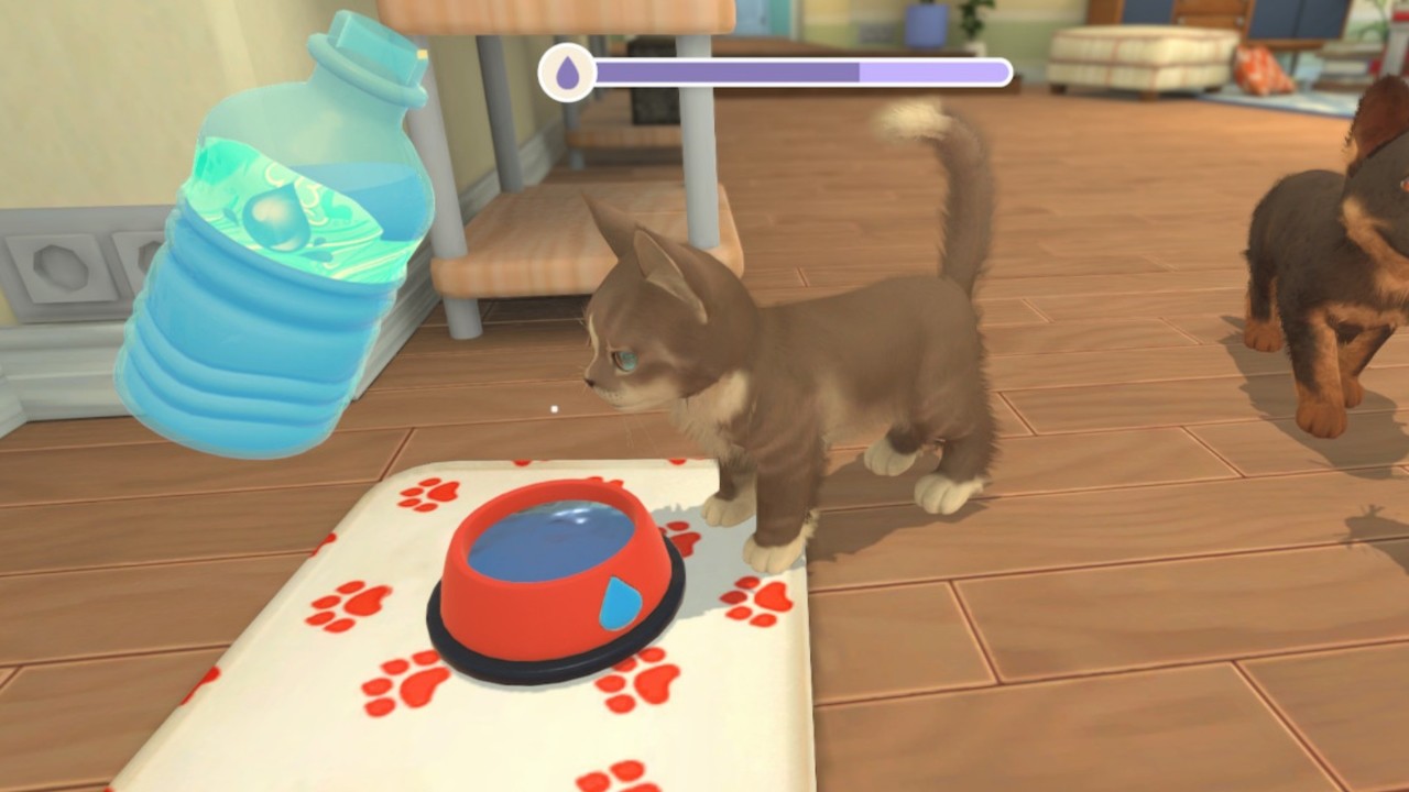 My Universe - Puppies & Kittens PC Steam CD Key