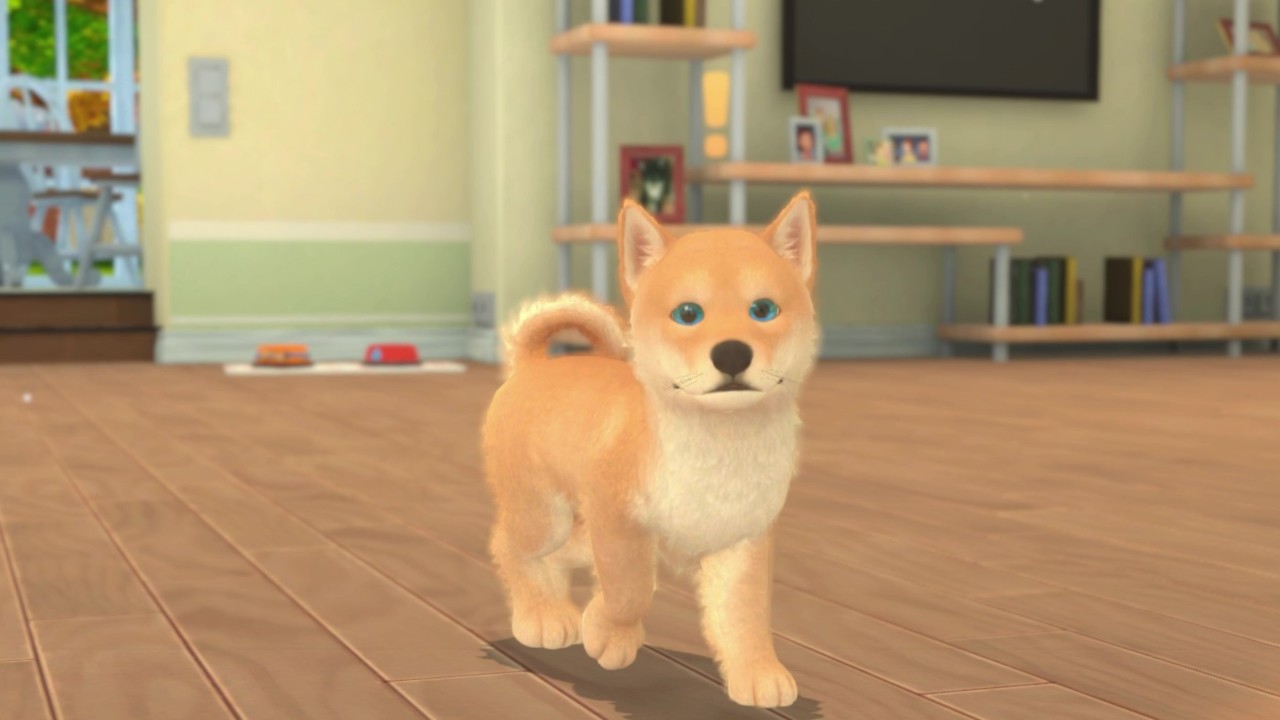 My Universe - Puppies & Kittens PC Steam CD Key