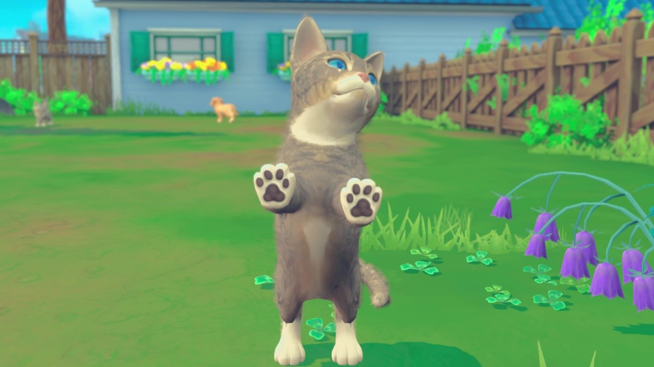 My Universe - Puppies & Kittens PC Steam CD Key