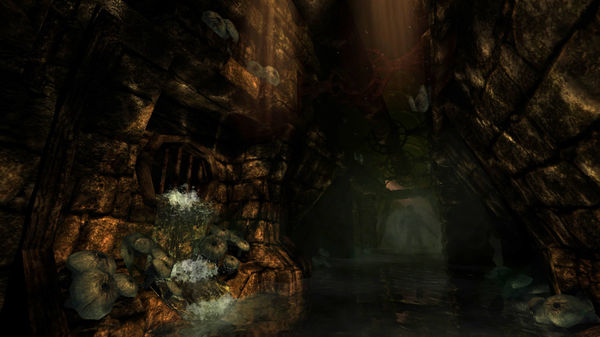 Amnesia Re-collection Bundle 2021 Steam CD Key