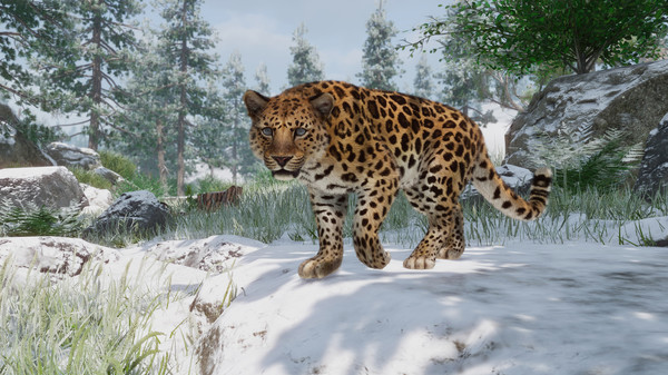 Planet Zoo Premium Edition 2023 EU Steam CD Key
